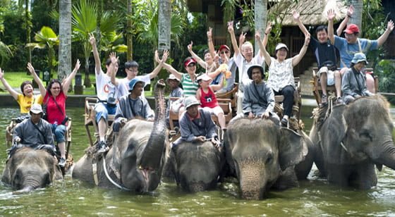 Wisata Naik Gajah di Bali