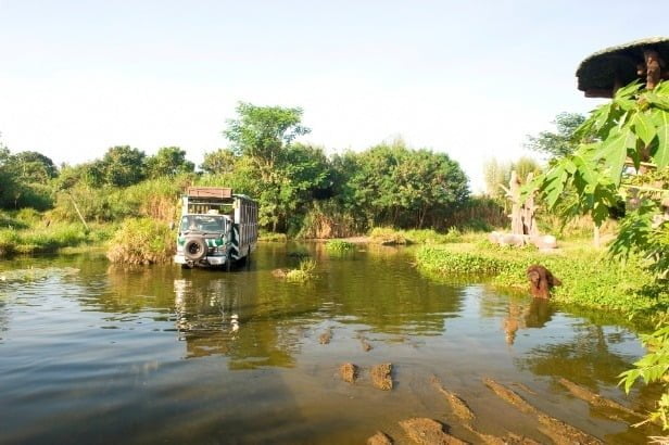 safari journey bali