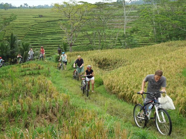 Wisata Bersepeda di Bali 