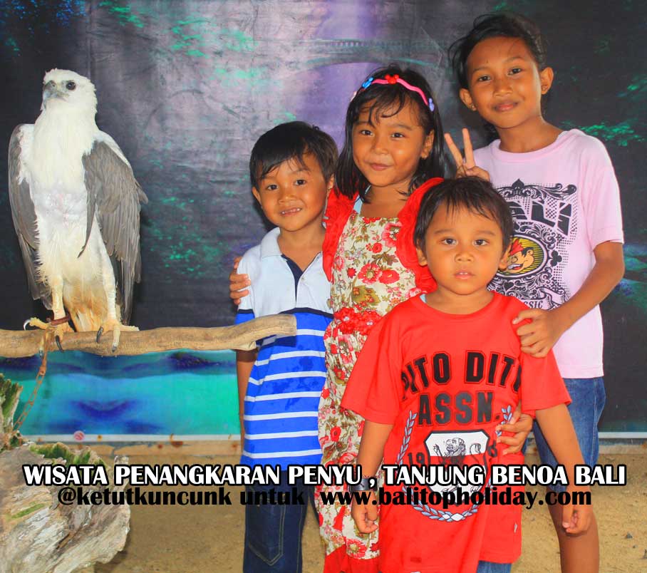 foto-dengan-burung-di-pulau-penyu