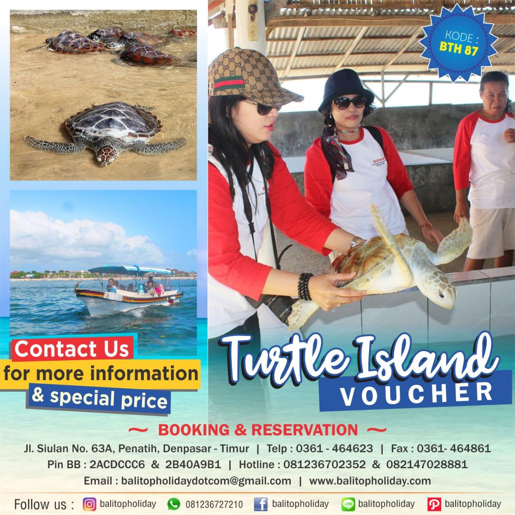 pulau penyu Benoa bali
