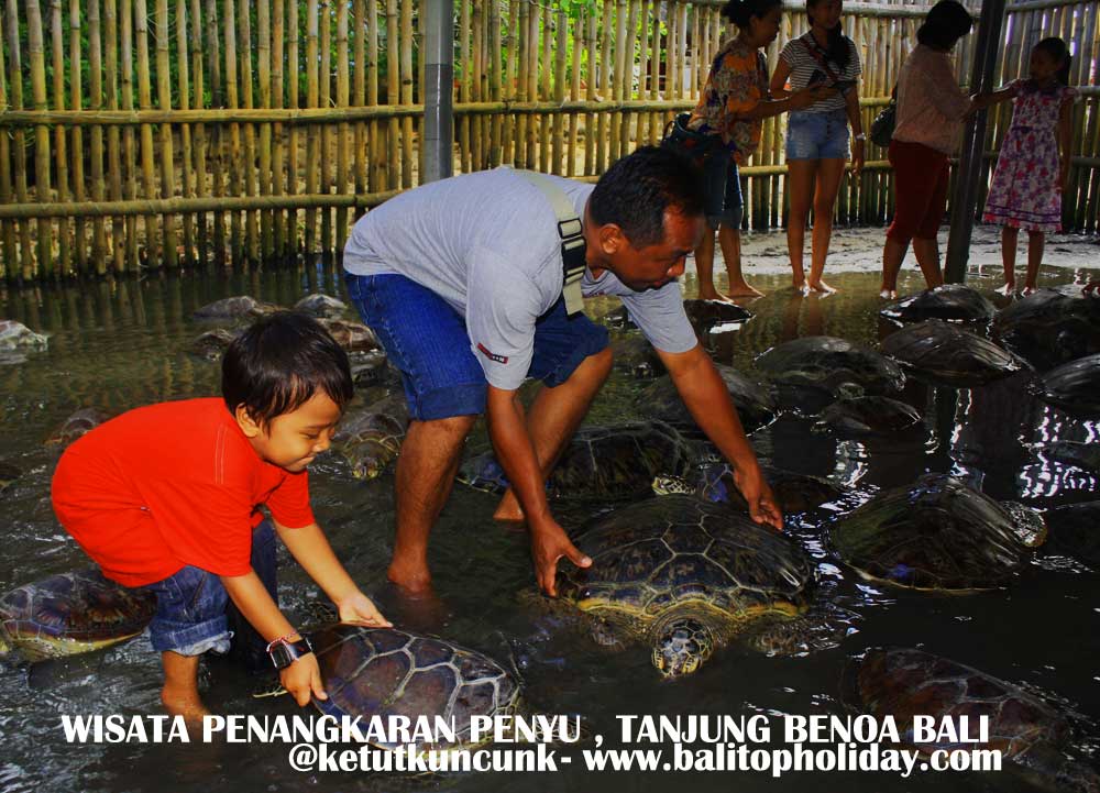 Wisata Pulau Penyu Bali