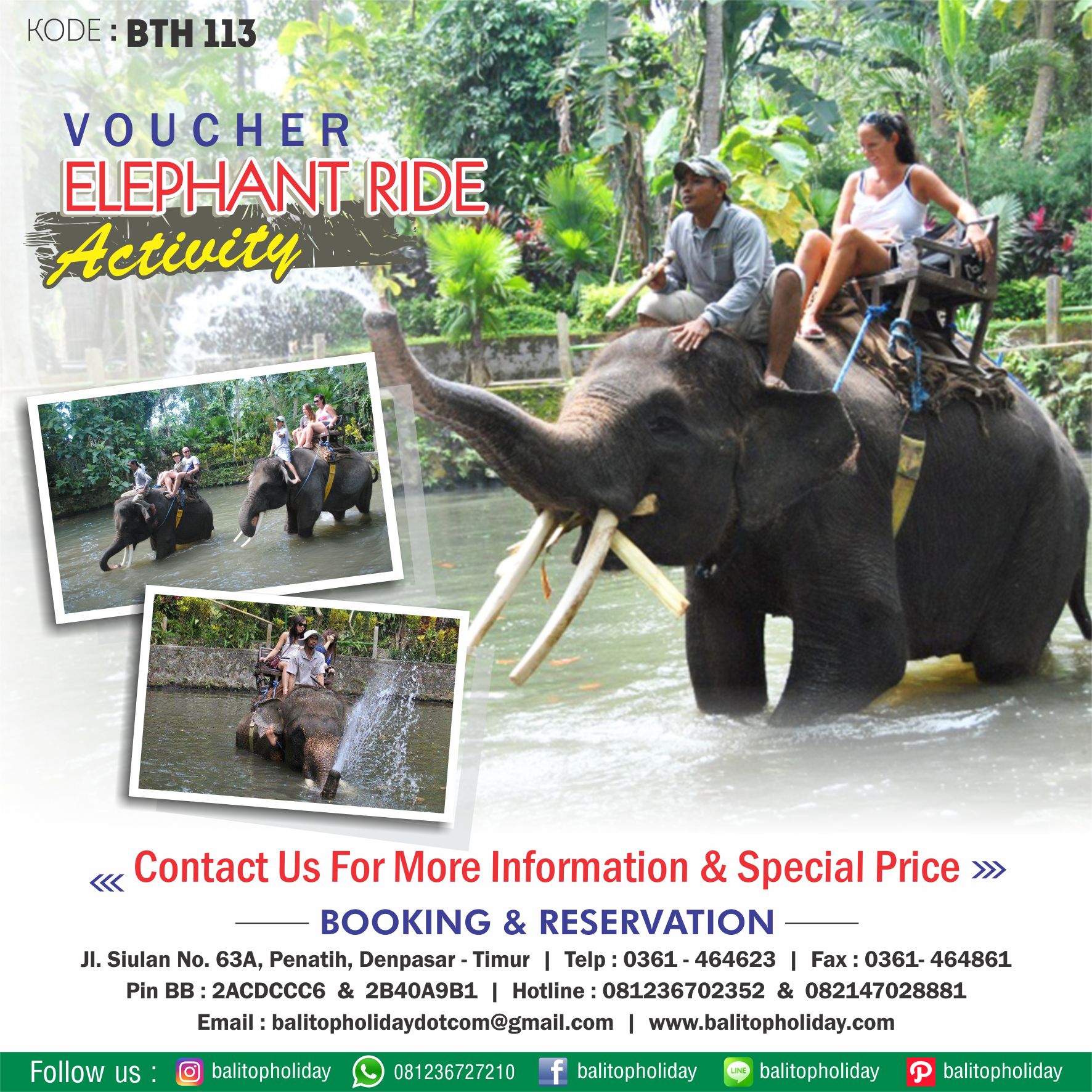 elephant ride