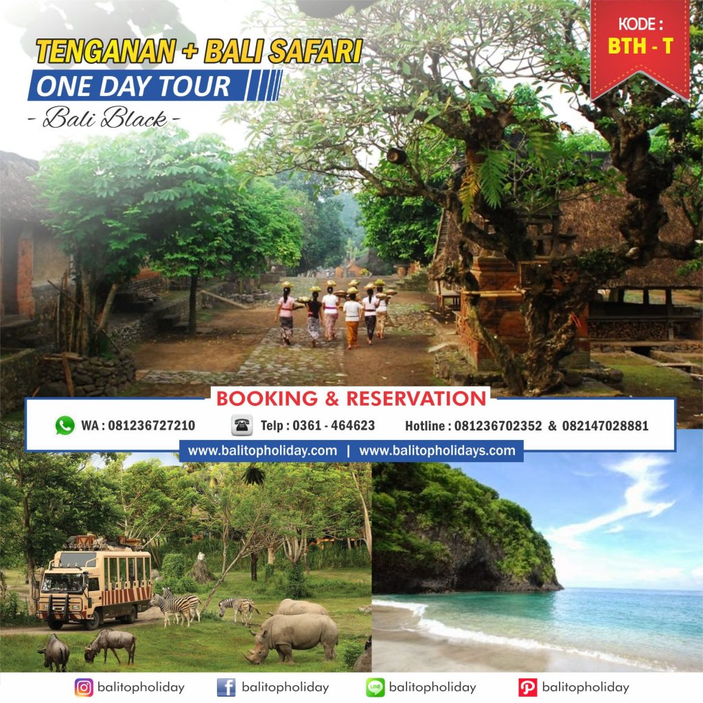 Tour Desa Tenganan
