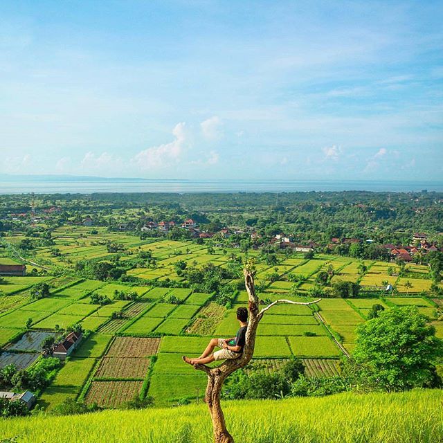 info obyek wisata bali