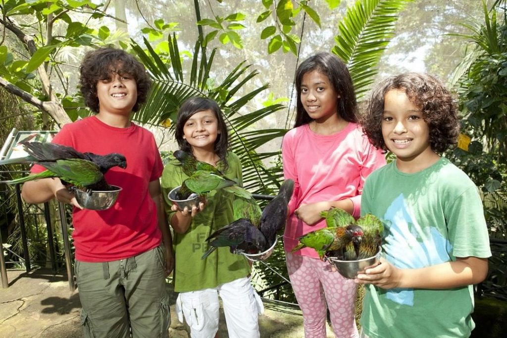 Paket Tour Bali Bird Park